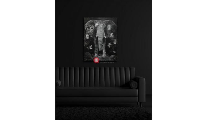 CentrMebel | Картина Elephant Black/Grey 75х100 cm(черный) 1