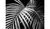 CentrMebel | Картина Palm leaves 100х100 cm (чорний) 1