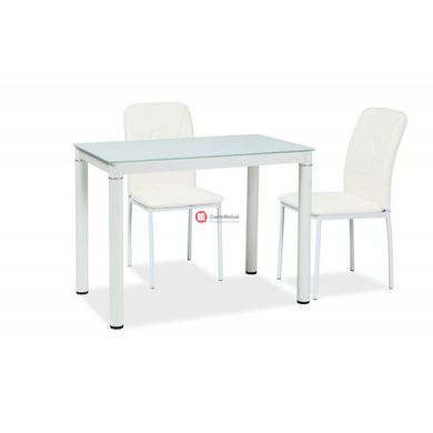CentrMebel | Стол обеденный Galant 100x60 Белый 1