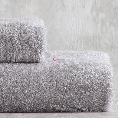CentrMebel | Набор полотенец PAVIA NICCI GRI (75х150, 50х85) серый 3