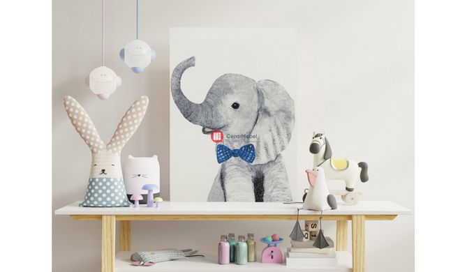 CentrMebel | Картина Elephant gentelman 50х70 cm (сірий) 1