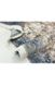 CentrMebel | Ковер Alpaca Avangard 200х300 (бежевый; серый) 6