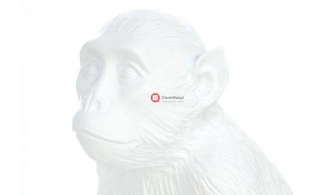 CentrMebel | Настільна лампа Monkey K110 White 3
