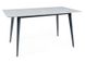CentrMebel | Стол обеденный нераскладной керамический IVY 140х80 серый мрамор 15