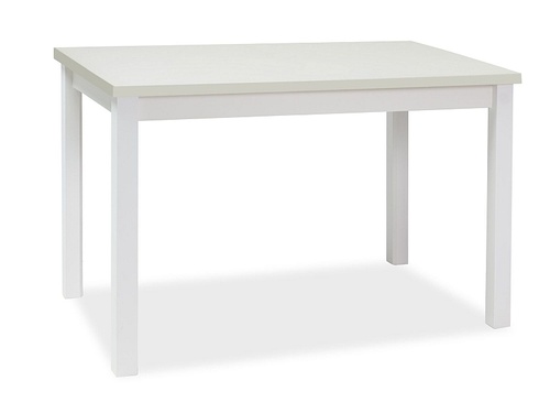 CentrMebel | Стол обеденный ADAM 100x60 (белый) 1