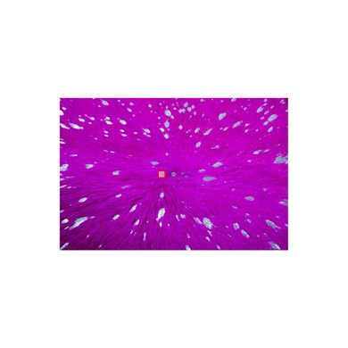 CentrMebel | Килим Glam 410 Violett/Silver 200x260 (фіолетовий; срібний) 3