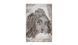 CentrMebel | Килим Iglesia 200 Taupe 160x230 4