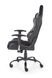 CentrMebel | Кресло геймерское DRAKE (чорний, серый) 11