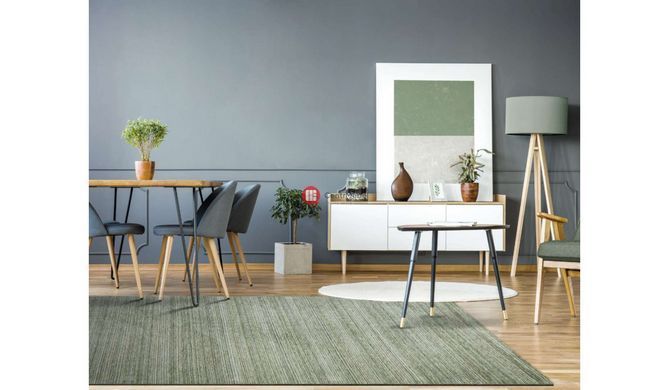 CentrMebel | Килим Seul Apple з просоченнями 160х230 2