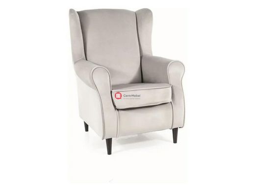 CentrMebel | Крісло для відпочинку BARON VELVET (світло-сірий) 1