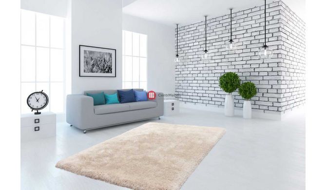 CentrMebel | Килим Cosy 510 Ivory 160х230 2